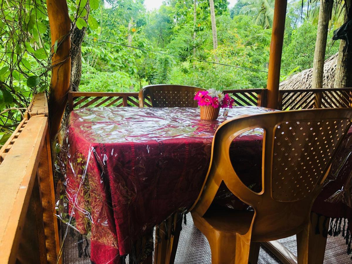 Sigiri Lion Eco Palace Sigiriya Exterior photo