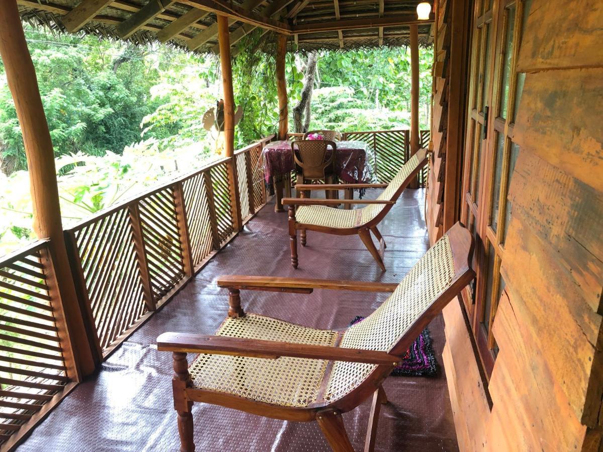 Sigiri Lion Eco Palace Sigiriya Exterior photo