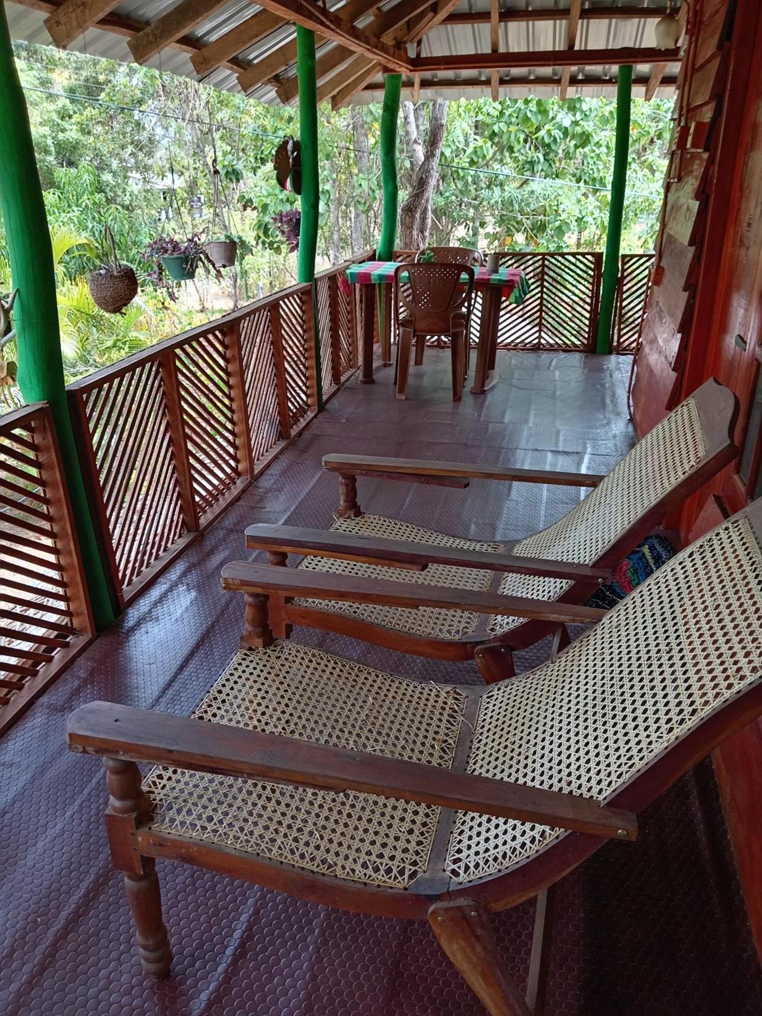 Sigiri Lion Eco Palace Sigiriya Exterior photo